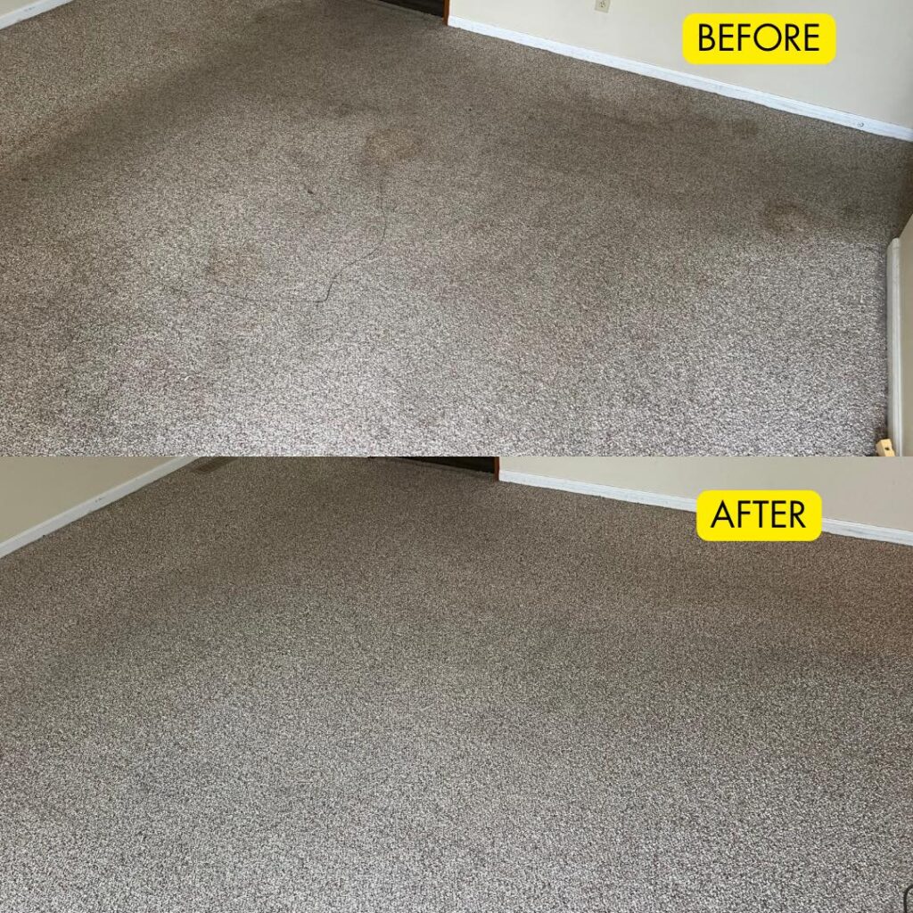 carpet cleaning company owensboro